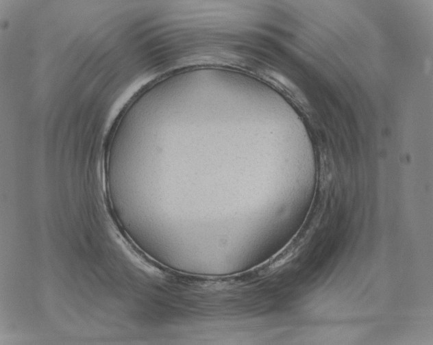 X0000076060796200610152201