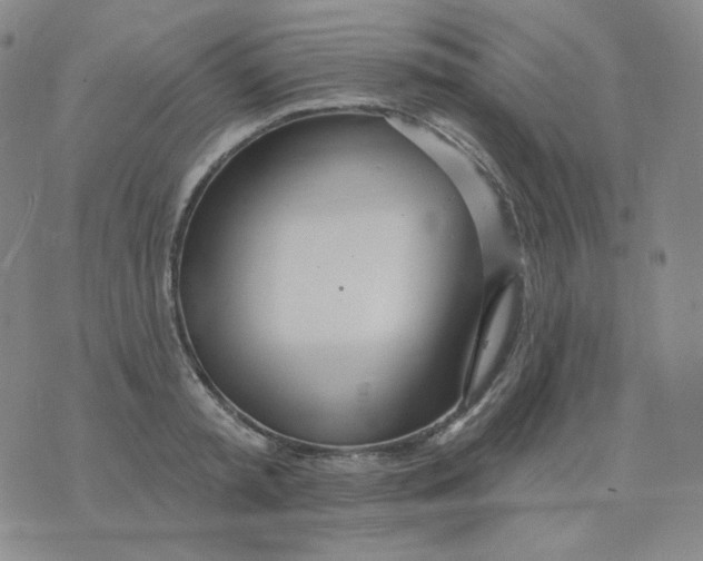 X0000076060797200610152201