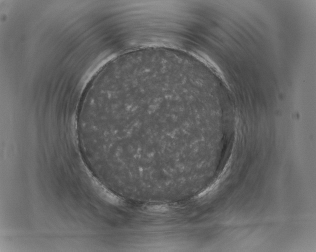 X0000076060798200610152201