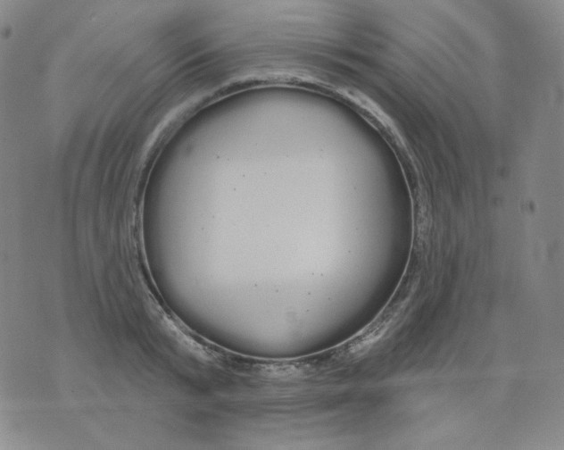 X0000076060799200610152201