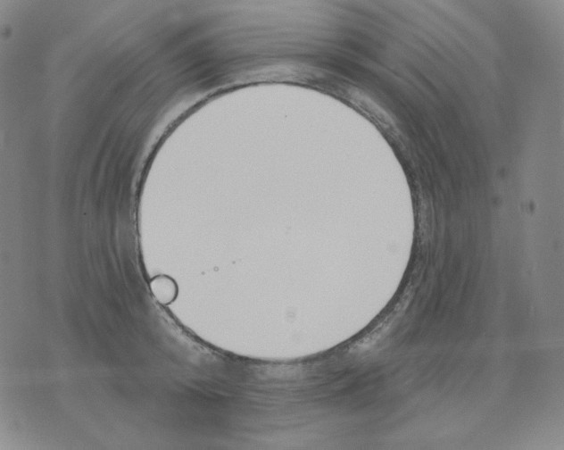 X0000076060800200610152201