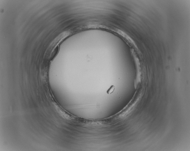 X0000076060801200610152201