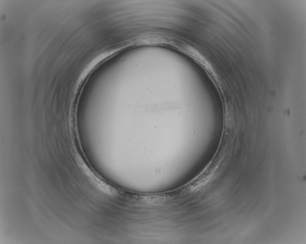 X0000076060803200610152201