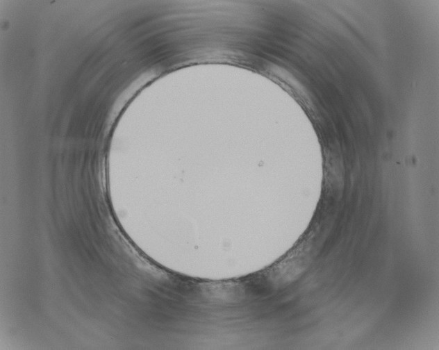 X0000076060804200610152201