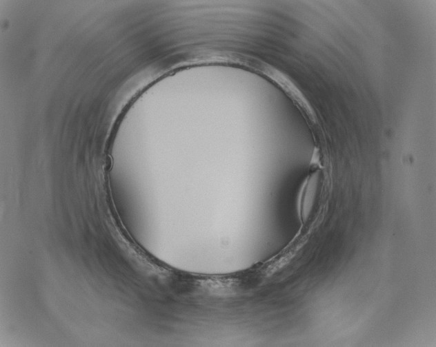 X0000076060805200610152201