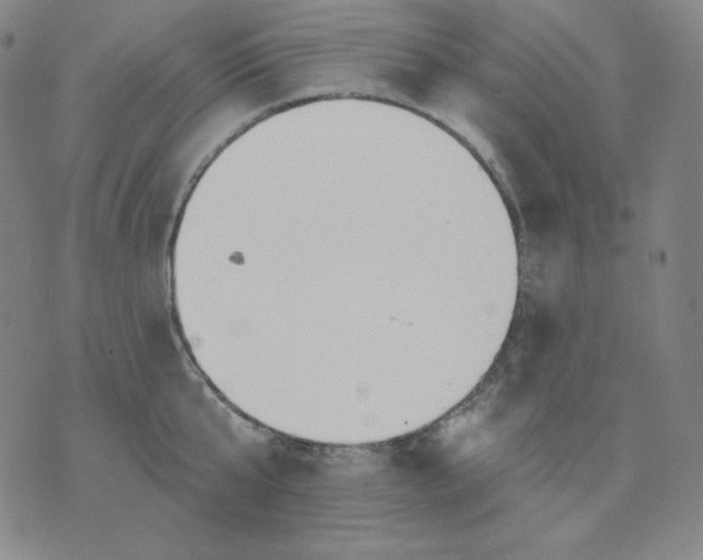 X0000076060807200610152201