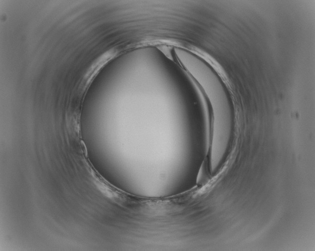 X0000076060809200610152201