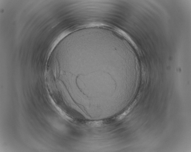 X0000076060810200610152201