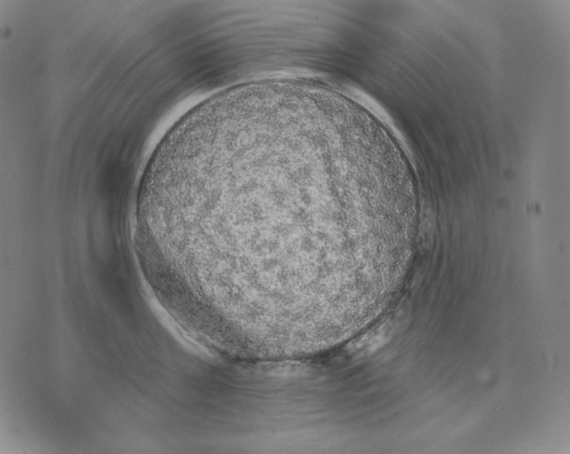 X0000076060811200610152201