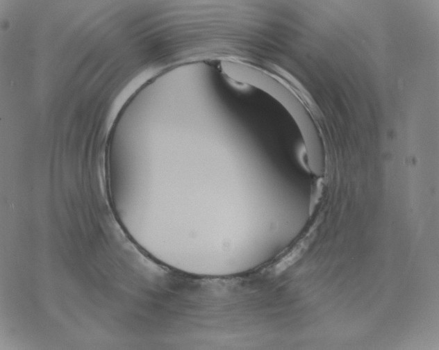 X0000076060812200610152201