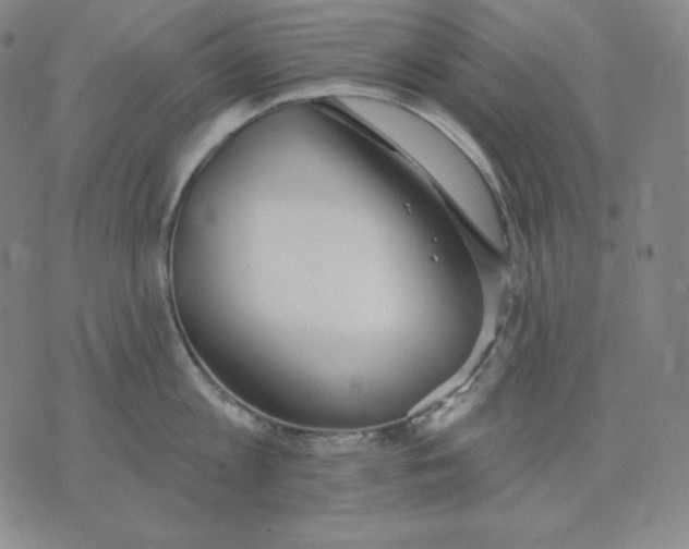 X0000076060813200610152201