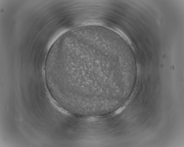 X0000076060814200610152201