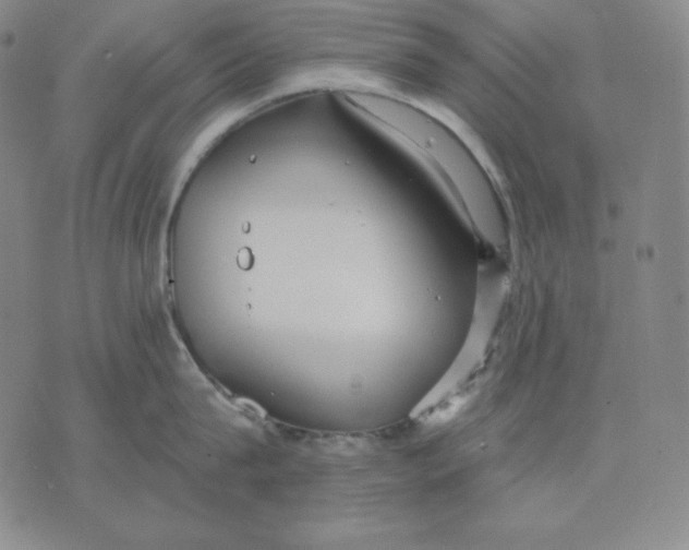 X0000076060815200610152201