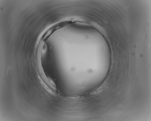 X0000076060816200610152201