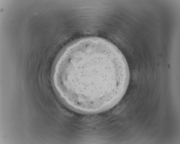 X0000076060817200610152200