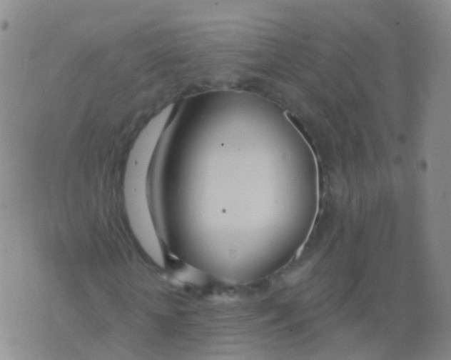 X0000076060818200610152200