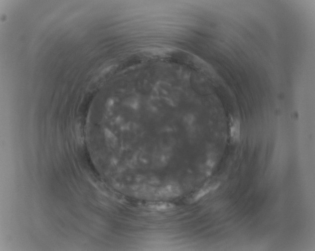 X0000076060819200610152200