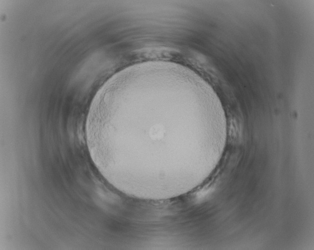 X0000076060820200610152200