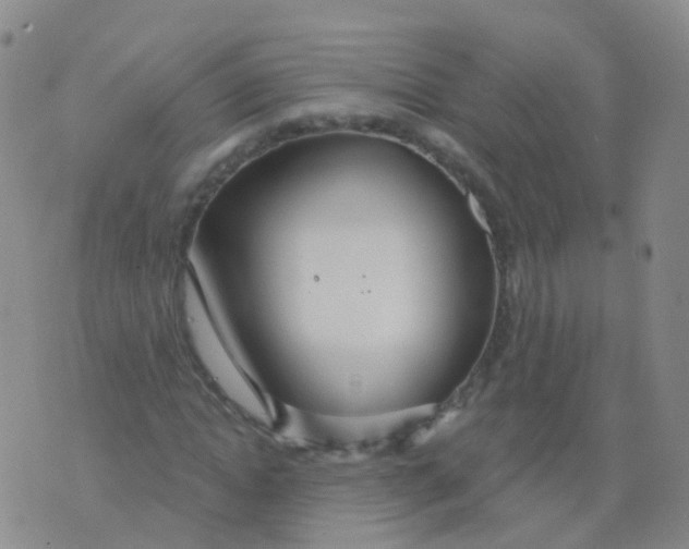 X0000076060822200610152200