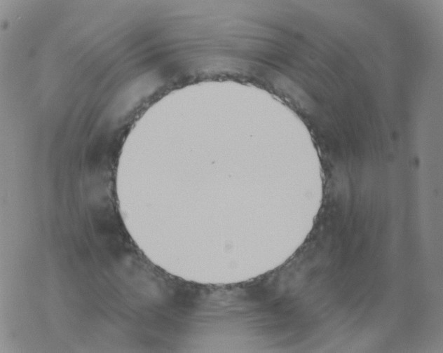 X0000076060824200610152200