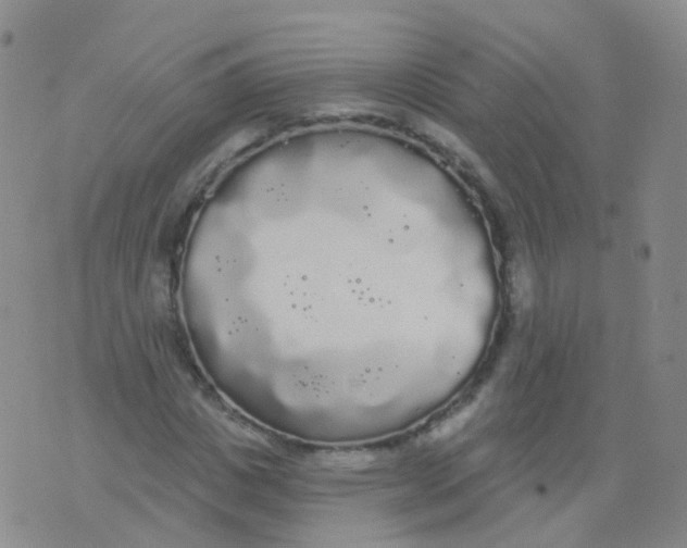 X0000076060825200610152200