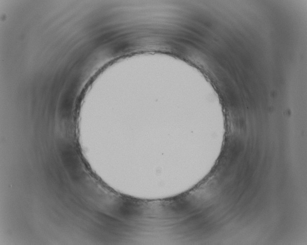 X0000076060828200610152200