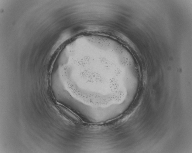 X0000076060829200610152200