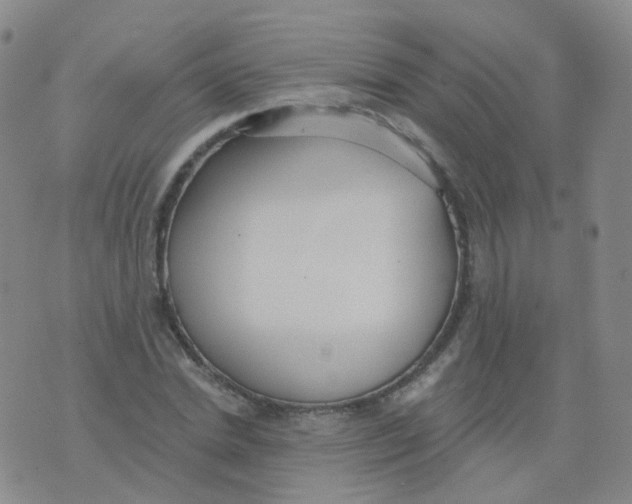 X0000076060830200610152200