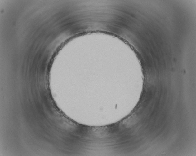 X0000076060832200610152200