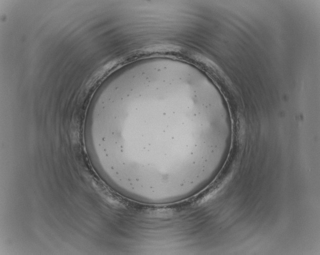 X0000076060833200610152200