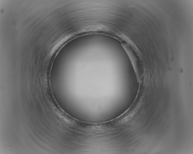 X0000076060834200610152200