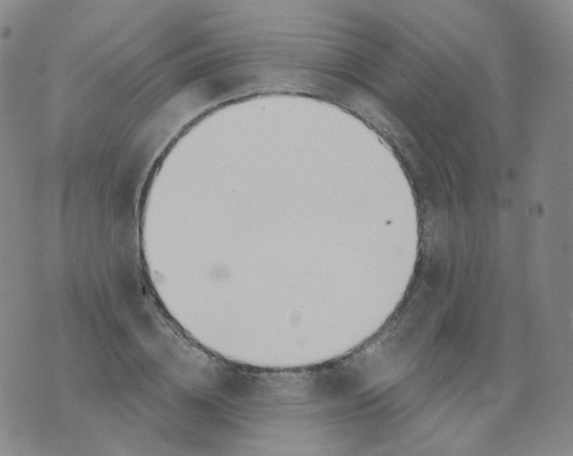 X0000076060836200610152200