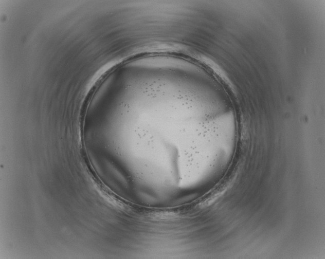 X0000076060837200610152200