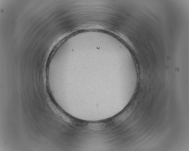 X0000076060840200610152200