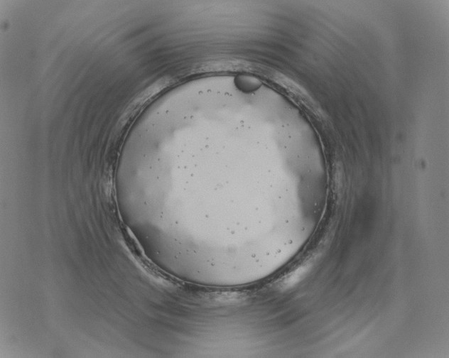 X0000076060841200610152200