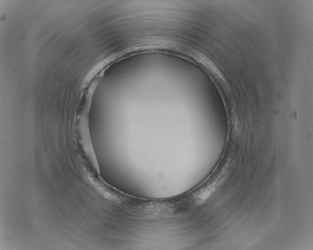 X0000076060842200610152200