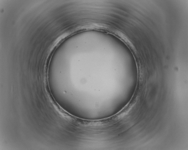 X0000076060845200610152200