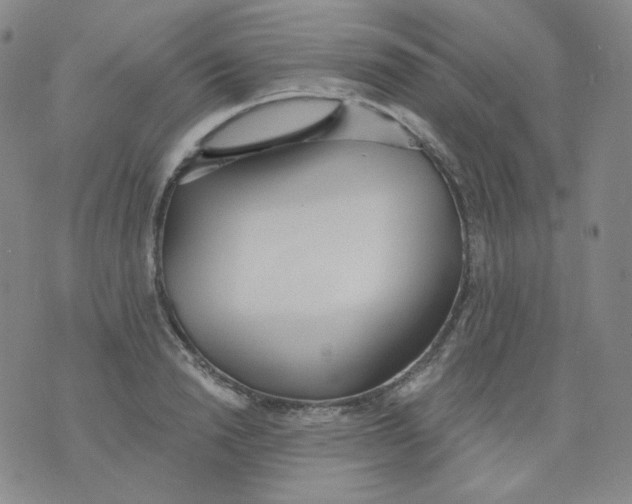 X0000076060846200610152200