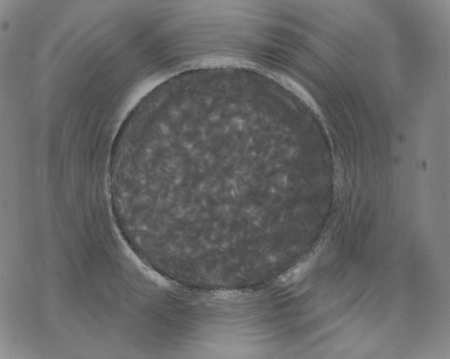 X0000076060847200610152200