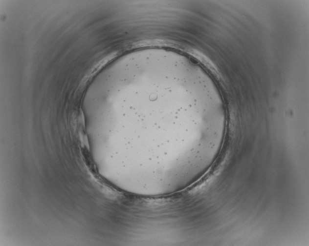 X0000076060849200610152200