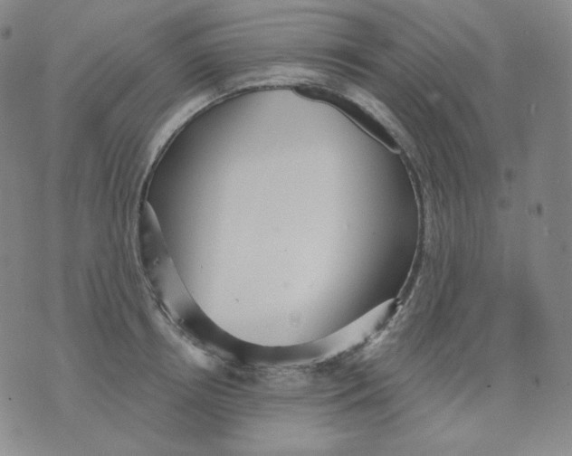 X0000076060850200610152200