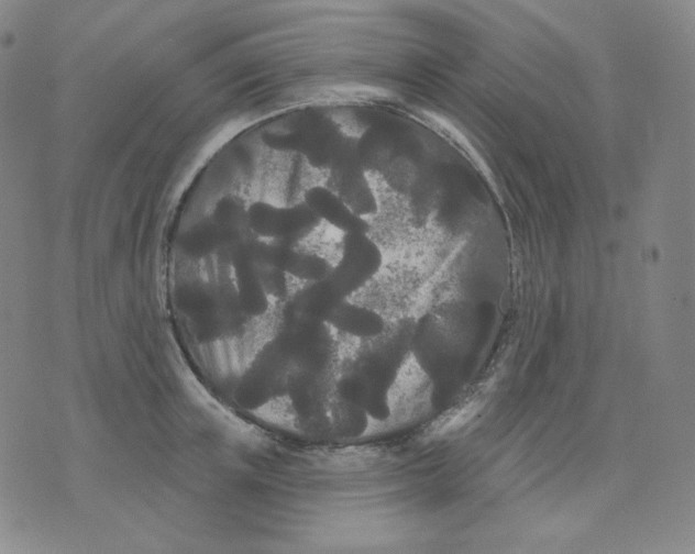 X0000076060851200610152200