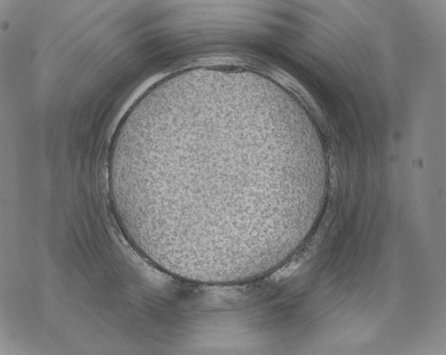 X0000076060852200610152200