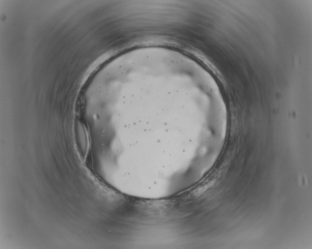 X0000076060853200610152200