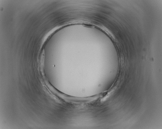 X0000076060854200610152201