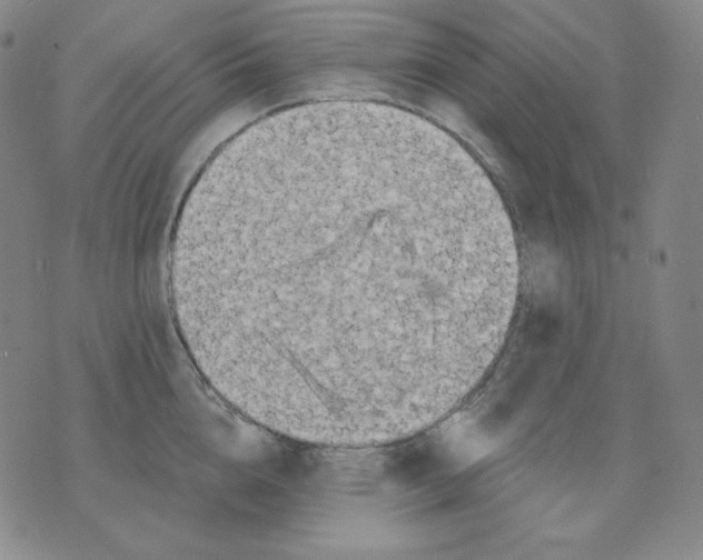 X0000076060856200610152201