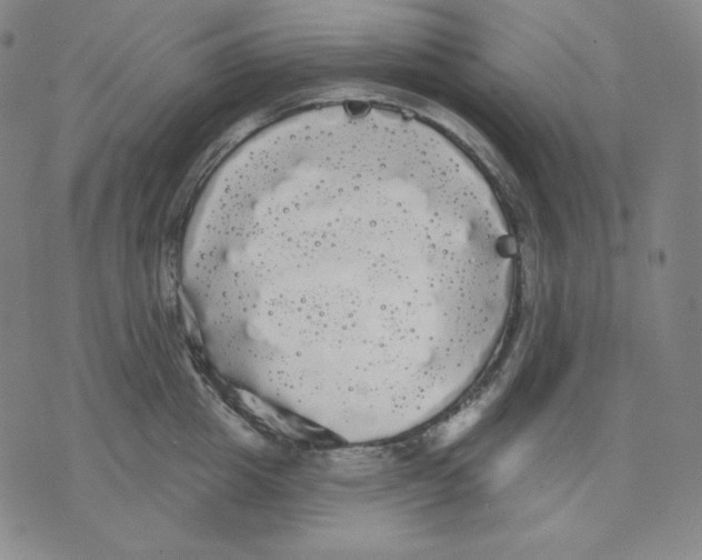 X0000076060857200610152201