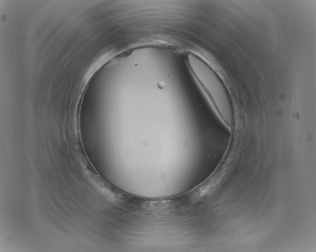 X0000076060858200610152201