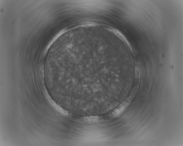 X0000076060859200610152201