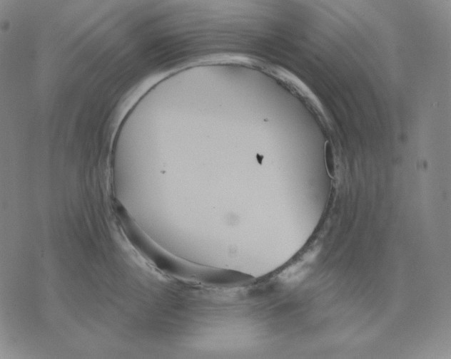 X0000076060860200610152201